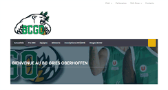 Desktop Screenshot of bcgo.net